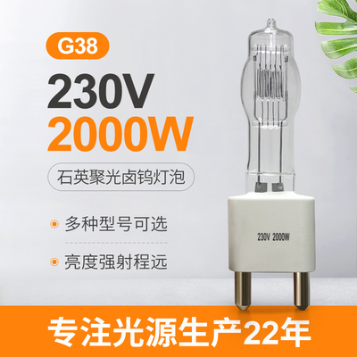 230v उच्च वोल्टेज हलोजन लैंप 2000 वाट बल्ब G38 सिंगल एंडेड