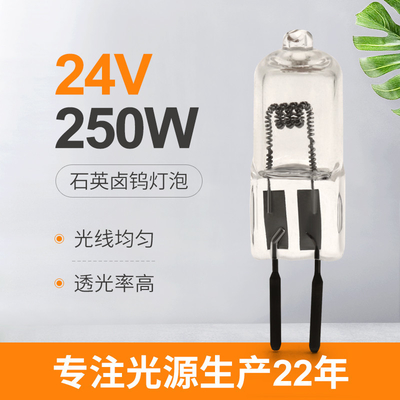 24v 150w 250W क्वार्ट्ज आयोडीन लैंप लुमेन उच्च सर्जिकल टंगस्टन हलोजन प्रोजेक्टर लैंप