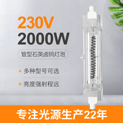 230V 2000 वाट क्वार्ट्ज लैंप हलोजन डबल एंडेड लाइट बल्ब R7s हीट लैंप
