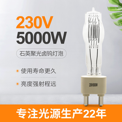 230V 5000W G38 ​​स्टूडियो क्वार्ट्ज लाइट बल्ब बोट हलोजन लैंप 180 मिमी 125000lm