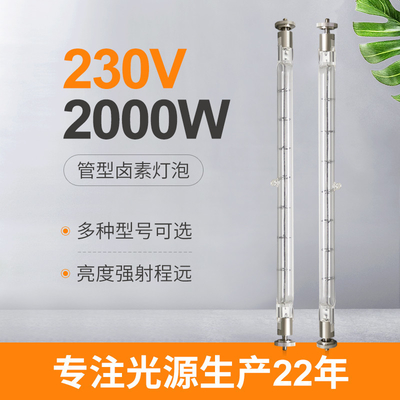 230V 2000w क्वार्ट्ज लैंप हलोजन लाइट बल्ब डबल एंडेड इन्फ्रारेड हीटर रिप्लेसमेंट ट्यूब